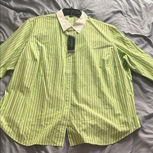 Light Green Striped Button Down Shirt